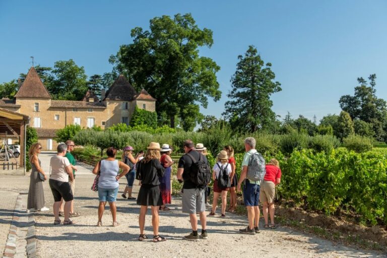 Bordeaux: Wine Country Vineyards Tour W/ Local Wine Tastings