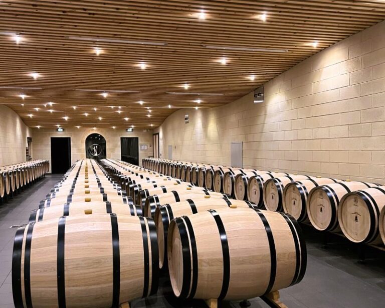 Bordeaux: Wine Tour With Tasting