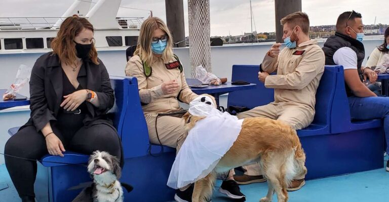 Boston: Dog-Friendly Halloween Costume & Sightseeing Cruise