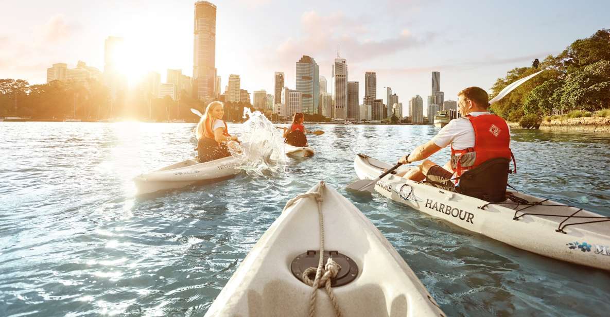 1 brisbane guided river kayak tour Brisbane: Guided River Kayak Tour