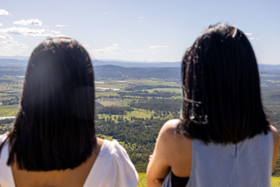 Brisbane: Hop on Hop off Bus to Tamborine Mountain - Experience Highlights