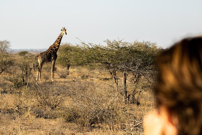 Bundox Big 5 Morning Game Drive