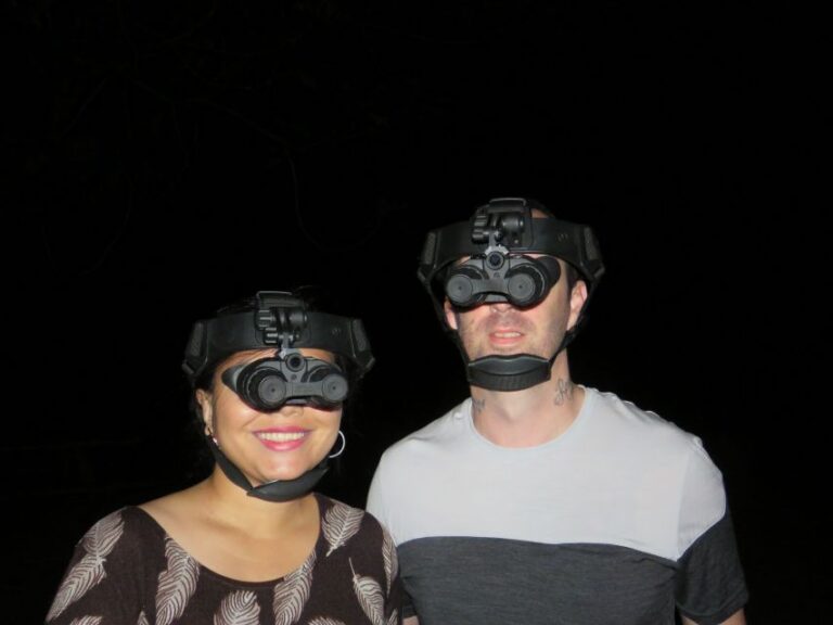 Byron Bay: Nighttime Nature Walk With Night Vision Goggles