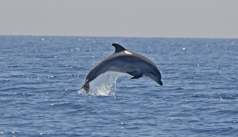 Cagliari: Southwest Chia and Teulada Private Boat Tour