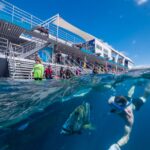 1 cairns great barrier reef cruise with water activities Cairns: Great Barrier Reef Cruise With Water Activities