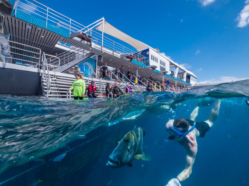 1 cairns great barrier reef cruise with water activities Cairns: Great Barrier Reef Cruise With Water Activities