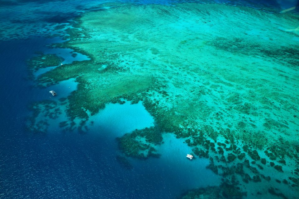 Cairns: Outer Edges of The Great Barrier Reef Scenic Flight - Booking Information