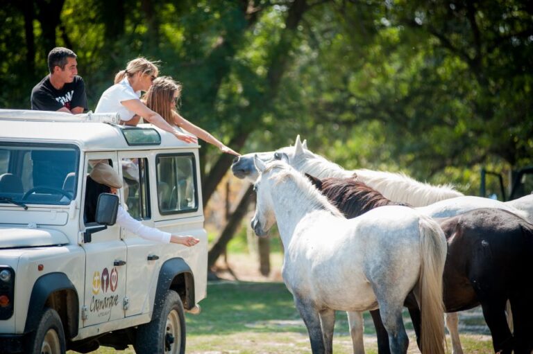 Camargue: Half-Day 4×4 Guided Safari Adventure