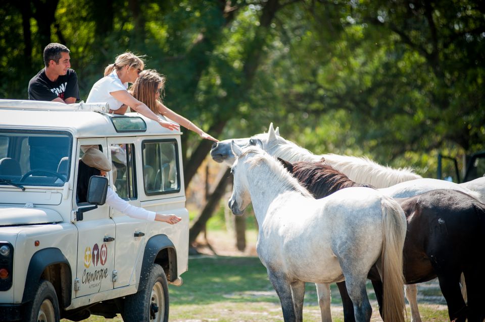 1 camargue half day 4x4 guided safari adventure Camargue: Half-Day 4x4 Guided Safari Adventure