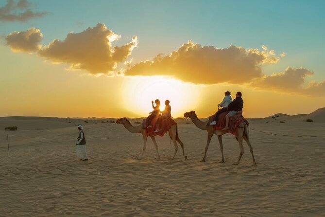 Camel Trekking in Abu Dhabi