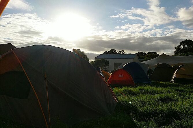 1 camping with an environmentalist incl 2 meals Camping With an Environmentalist Incl. 2 Meals