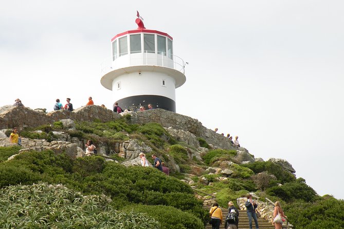 Cape of Good Hope Peninsula & Boulders Beach Penguins Private Tour