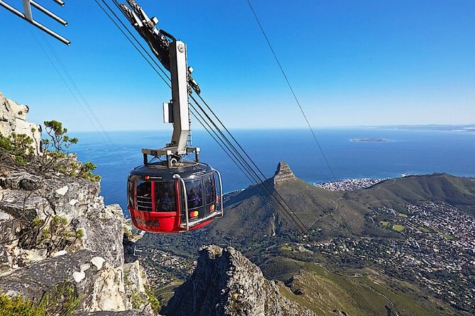 Cape Point Small Group and Table Mountain Tour From Cape Town