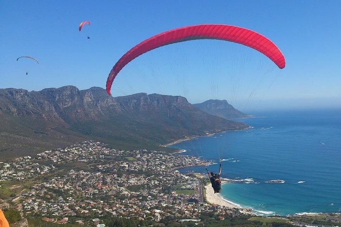 Cape Town 3-Day Attraction Tours: Paragliding, Cape Peninsula & Wine Tasting