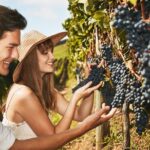1 cape winelands guided day tour from cape town Cape Winelands Guided Day Tour From Cape Town