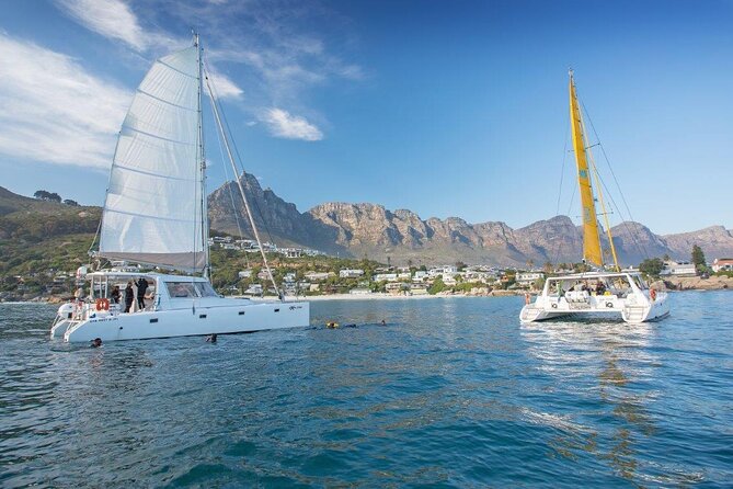 Catamaran Cruise in Cape Town