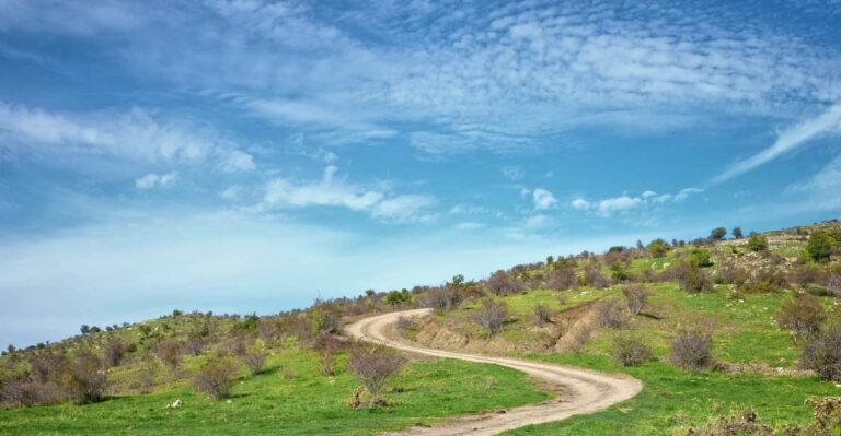 Cesarò: Full Day Tour of Nebrodi Park in a 4×4