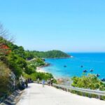 1 cham island sightseeing and snorkeling tour CHAM ISLAND - SIGHTSEEING AND SNORKELING TOUR