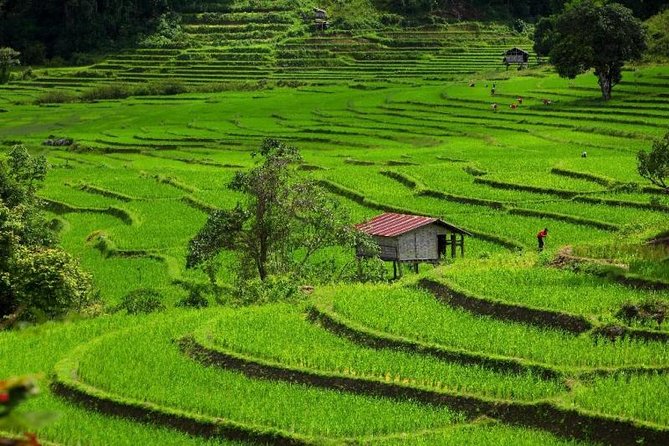 Chiang Mai - One Day Best Of Doi Inthanon National Park - Inclusions in the Day Tour Package