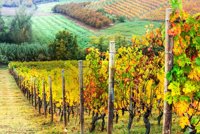 Chianti Lovers Private Tour: 2 Winery With Lunch From Florence