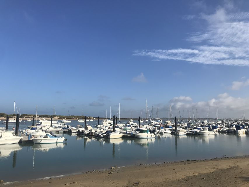 Chiclana De La Fra: Coast of Sancti Petri Catamaran Tour