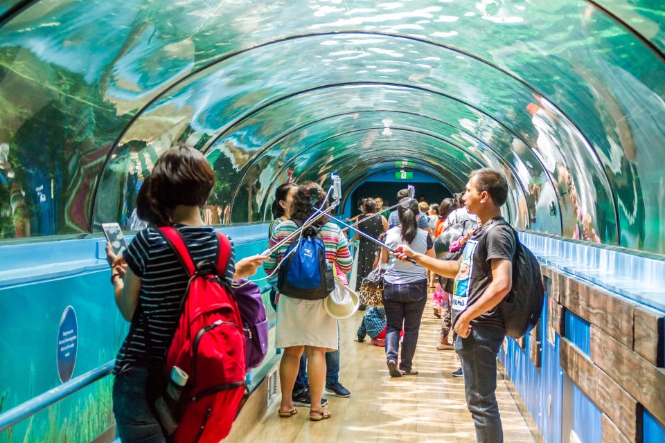 1 combo attraction pass sydney tower eye sea life more Combo Attraction Pass: Sydney Tower Eye, Sea Life & More