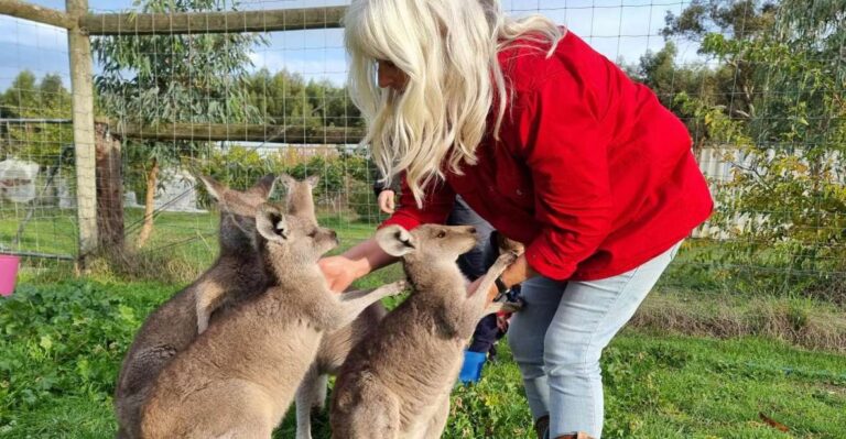 Coonawarra: Caves, Cabernet, & Kangaroos Day Tour & Lunch