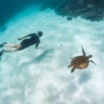 1 coral bay ningaloo reef 3 hour turtle ecotour Coral Bay: Ningaloo Reef 3-Hour Turtle Ecotour