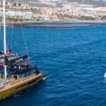 1 costa adeje whale watching tour with food and drinks Costa Adeje: Whale Watching Tour With Food and Drinks