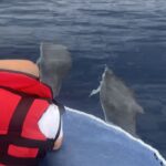 1 costa calma fuerteventura dolphin watching zodiac boat tour Costa Calma: Fuerteventura Dolphin Watching Zodiac Boat Tour
