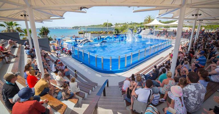 Costa Den Blanes: Entry Ticket for Marineland Mallorca