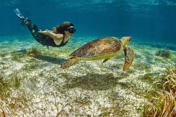 1 costa maya reef snorkeling excursion beach day by lachilangaloense freeshuffle Costa Maya Reef Snorkeling Excursion Beach Day by Lachilangaloense Freeshuffle