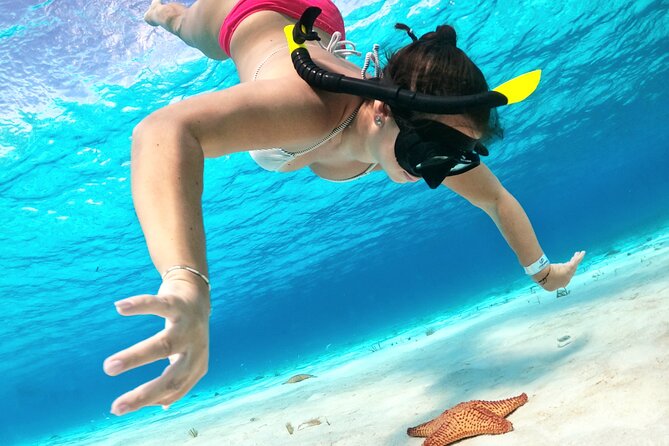 Cozumel Private Snorkeling and Charter Experience