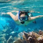 1 cozumel snorkeling tour at palancar colombia reefs and el cielo Cozumel Snorkeling Tour at Palancar & Colombia Reefs and El Cielo
