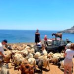 1 crete jeep safari mountains goat keeping cheese making Crete: Jeep Safari, Mountains, Goat-Keeping & Cheese Making