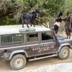 1 crete land rover safari on minoan route Crete: Land Rover Safari on Minoan Route