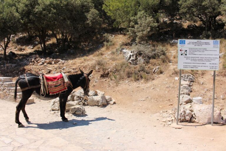 Crete: Land Rover Safari Through the Plateaus