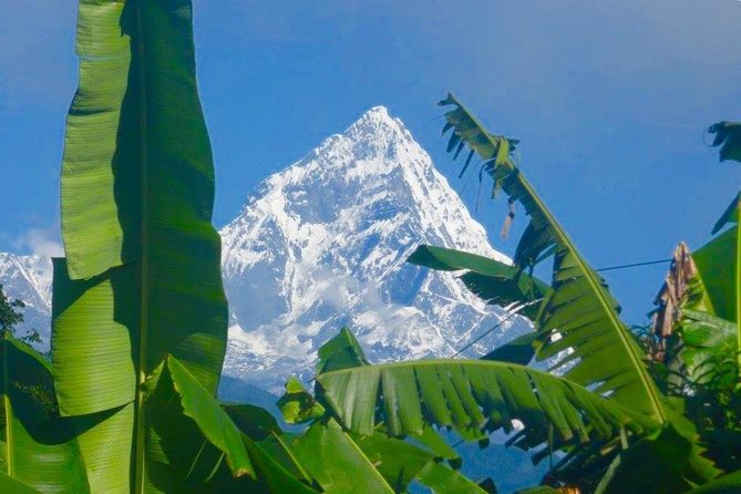 1 day hike to kalika from pokhara nepal Day Hike to Kalika From Pokhara Nepal