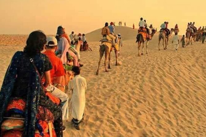 Desert Camel & Jeep Safari Private Tour From Jodhpur