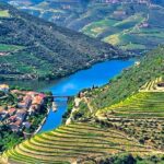 1 douro valley private tour 2 farms lunch boat trip Douro Valley Private Tour: 2 Farms, Lunch & Boat Trip