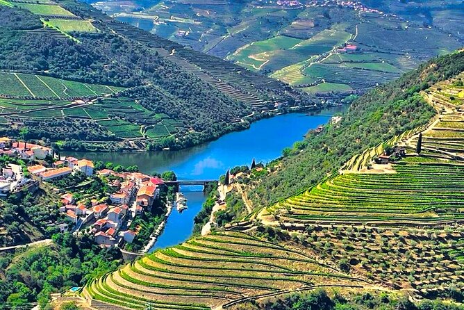 1 douro valley private tour 2 farms lunch boat trip Douro Valley Private Tour: 2 Farms, Lunch & Boat Trip