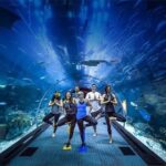 1 dubai aquarium underwater zoo tickets Dubai Aquarium & Underwater Zoo Tickets