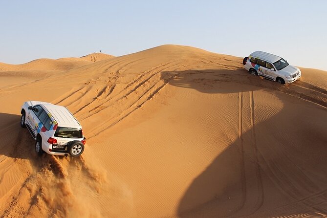 Dubai Morning Safari Adventure