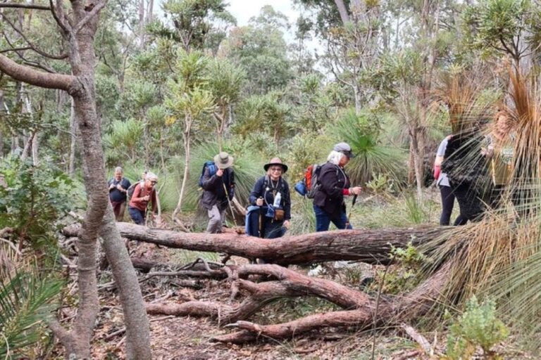 Dwellingup: Guided Hike and Scenic Train Ride With Lunch