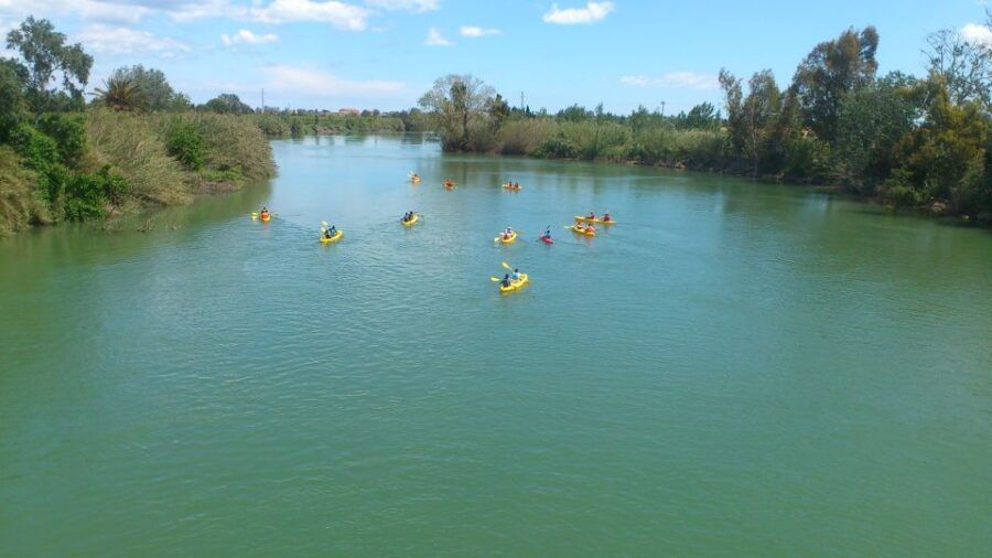 Ebro Delta: Guided Kayak Tour to Gracia Island