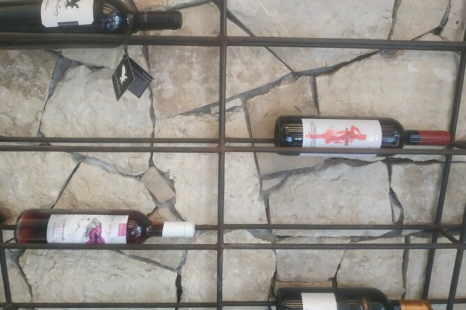 Ecobike Wine Tasting Tour in Heraklion