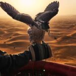 1 enjoy views of dubai beautiful desert by hot air balloon from dubai falcon Enjoy Views Of Dubai Beautiful Desert By Hot Air Balloon From Dubai & Falcon