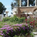 1 ephesus and organic farm tour by khalid Ephesus and Organic Farm Tour by Khalid