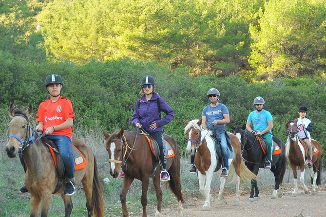 1 ephesus full day tour with horse safari from kusadasi cruise port max 10 people Ephesus Full-Day Tour With Horse Safari From Kusadasi Cruise Port Max 10 People