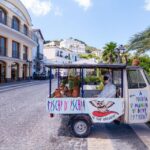 1 exclusive ischia tour from sorrento with local guide Exclusive Ischia Tour From Sorrento With Local Guide
